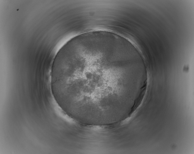 X0000113600814200910021739