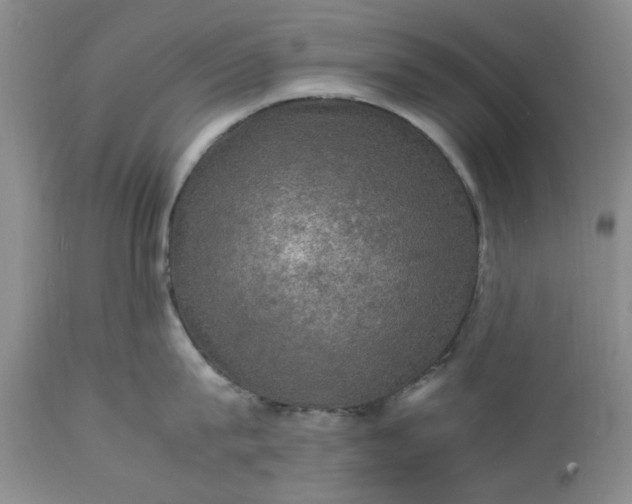 X0000113600815200910021739