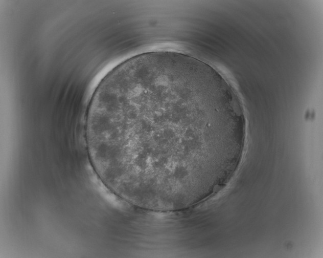 X0000113600816200910021739