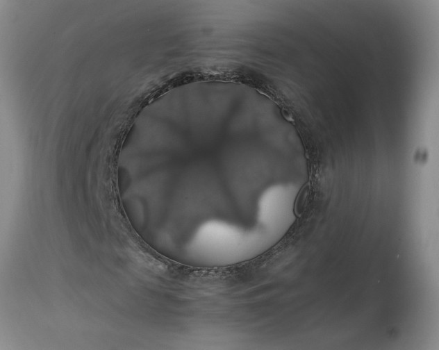 X0000113600817200910021738