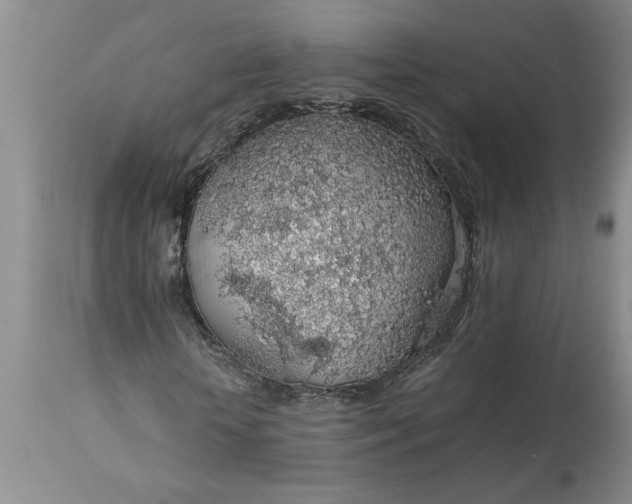 X0000113600818200910021738