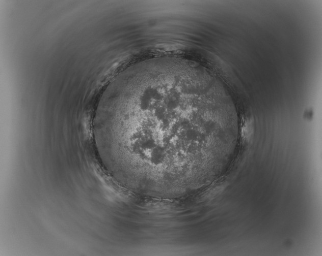 X0000113600819200910021738