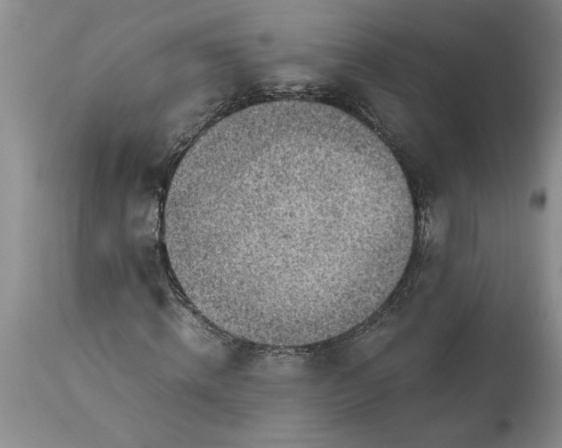 X0000113600820200910021738