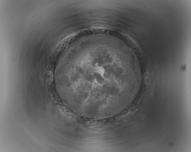 X0000113600821200910021738