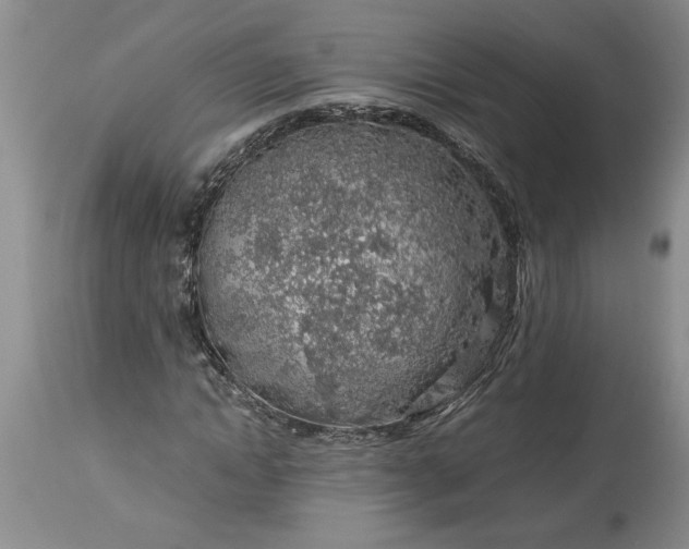 X0000113600822200910021738