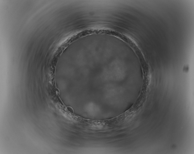 X0000113600823200910021738