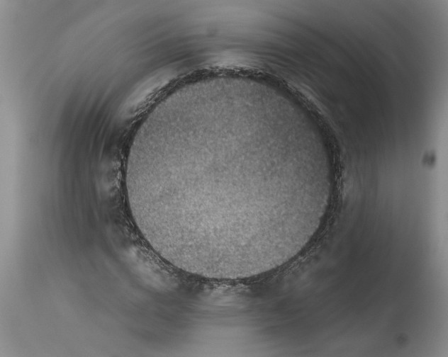 X0000113600824200910021738