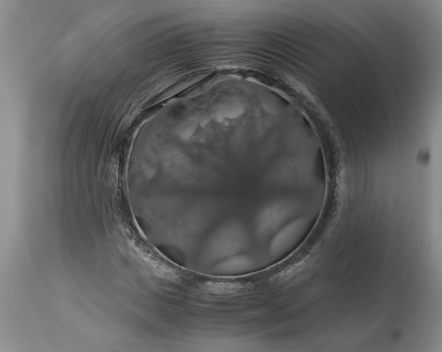 X0000113600825200910021739