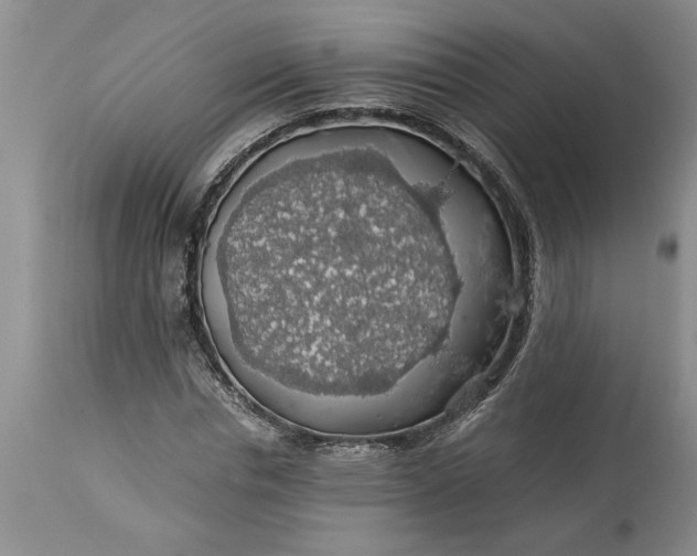 X0000113600826200910021739