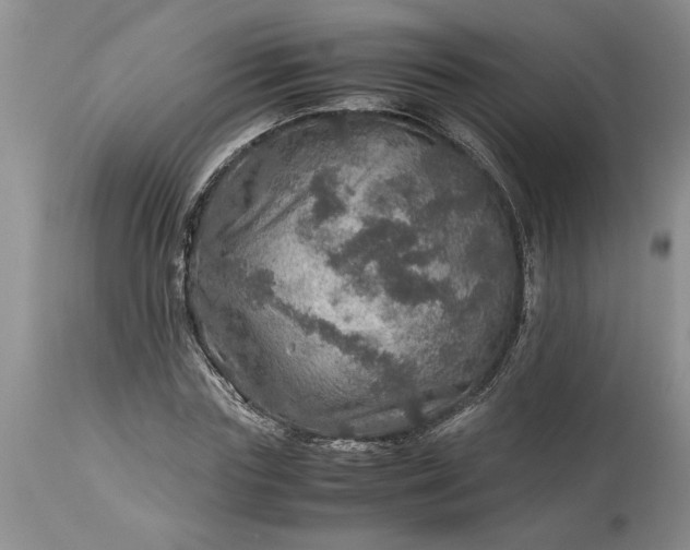 X0000113600827200910021739