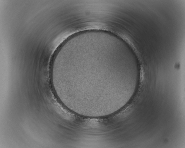 X0000113600828200910021739