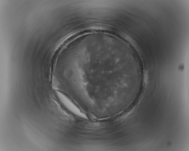 X0000113600829200910021739