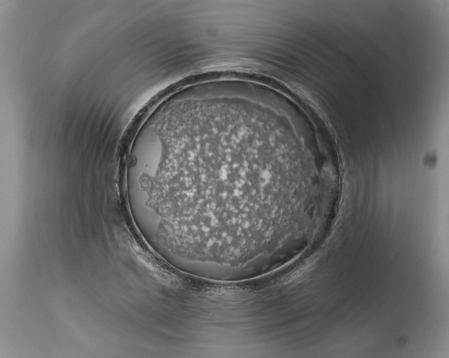 X0000113600830200910021739