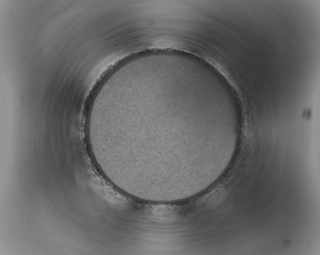 X0000113600832200910021739