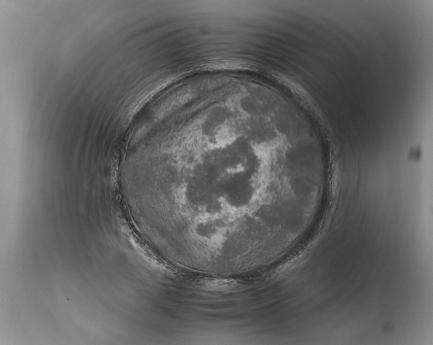 X0000113600833200910021739