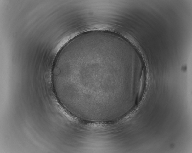 X0000113600834200910021739