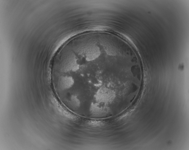 X0000113600835200910021739