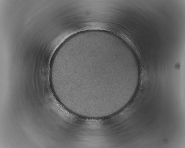 X0000113600836200910021739