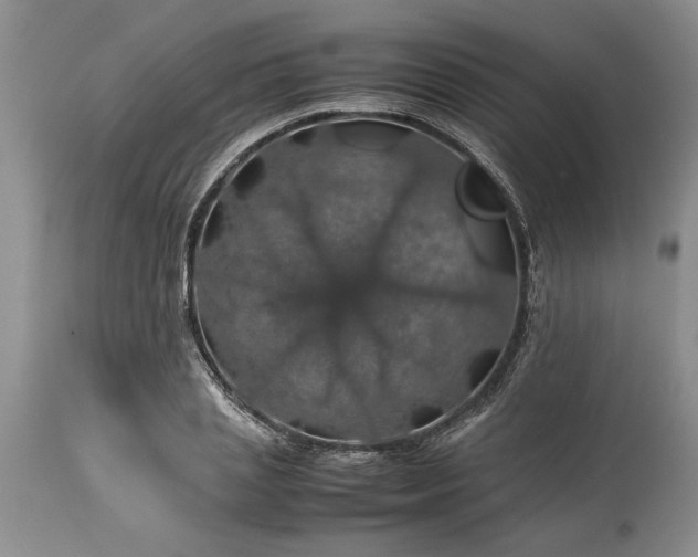 X0000113600837200910021739