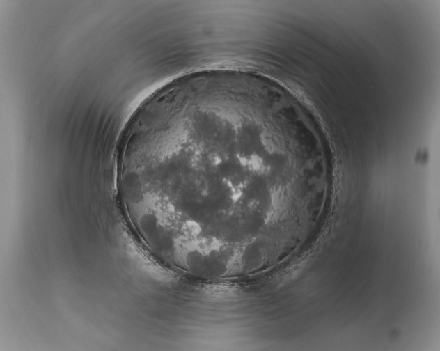 X0000113600838200910021739