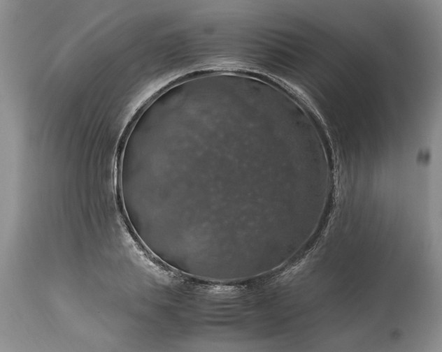 X0000113600839200910021739