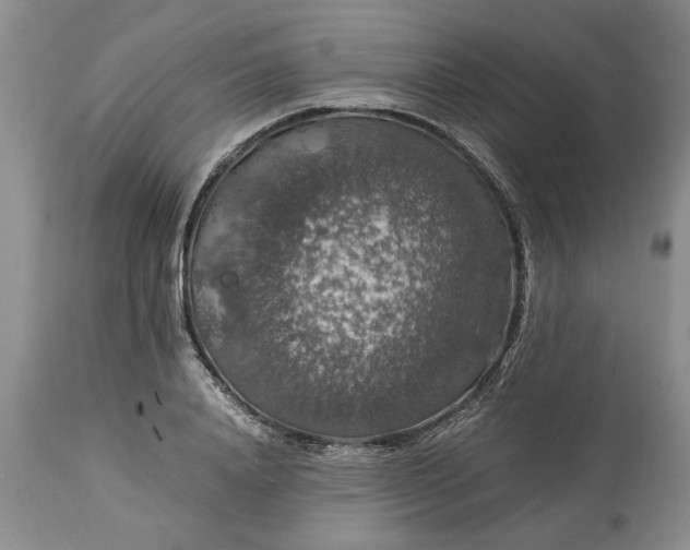 X0000113600840200910021739