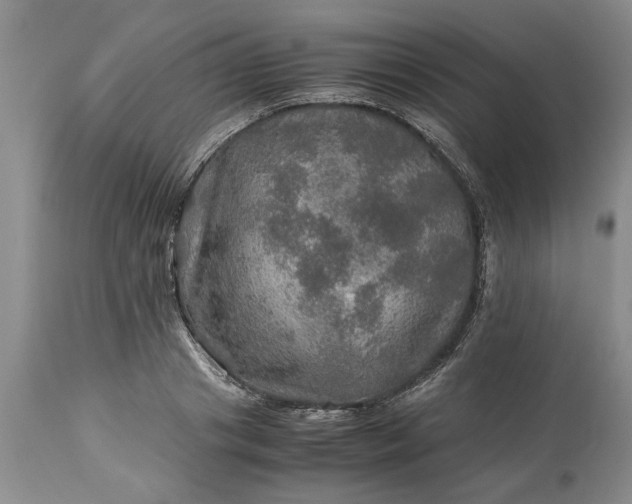 X0000113600841200910021739