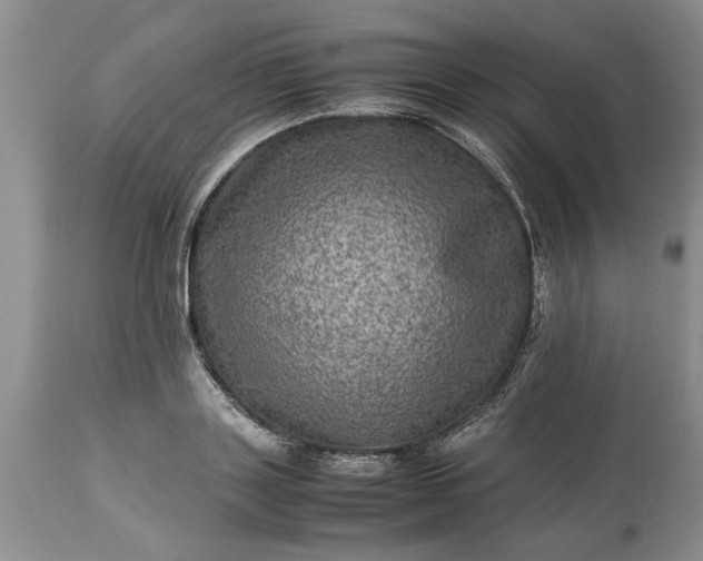 X0000113600843200910021739