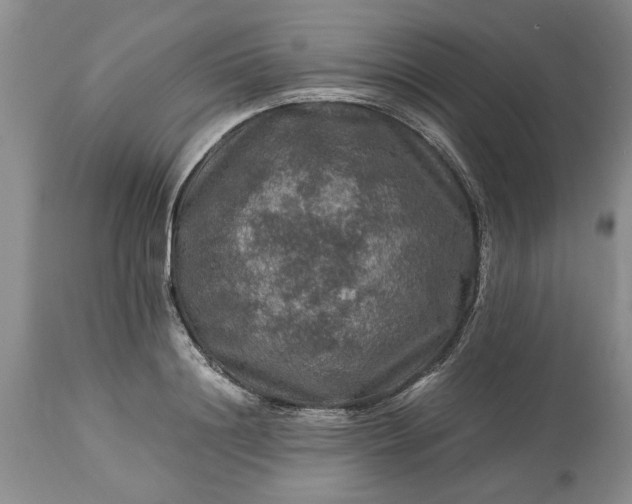 X0000113600844200910021739