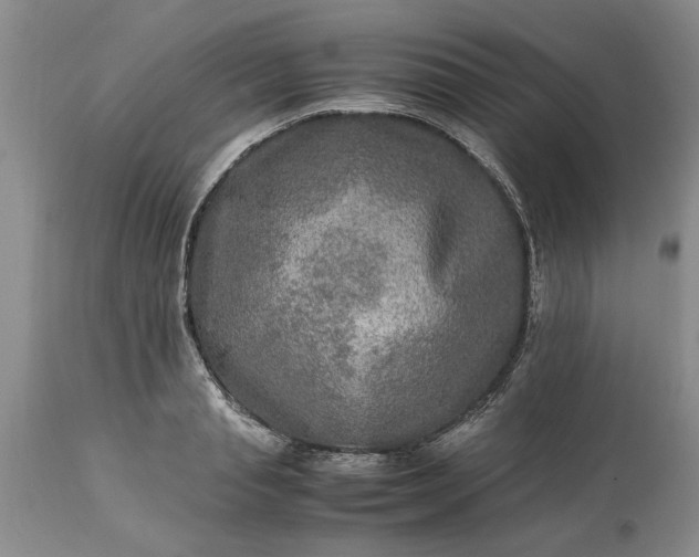 X0000113600845200910021739