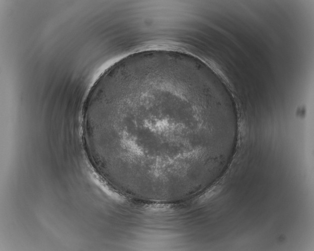 X0000113600846200910021739