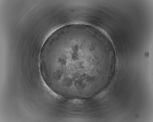 X0000113600847200910021739