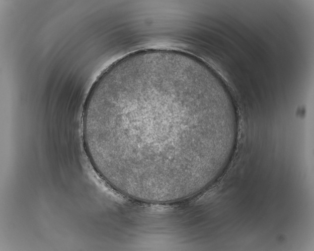 X0000113600848200910021739