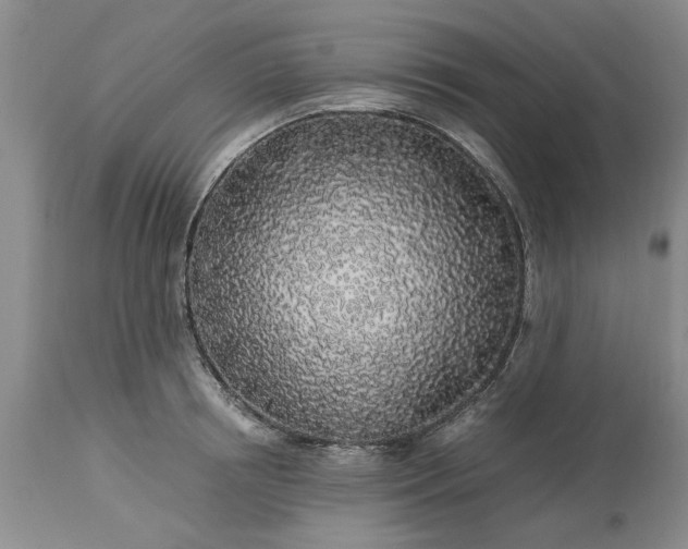 X0000113600850200910021739