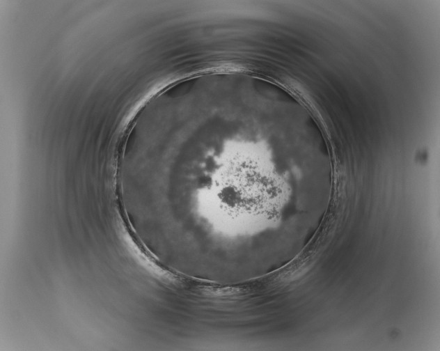 X0000113600851200910021739