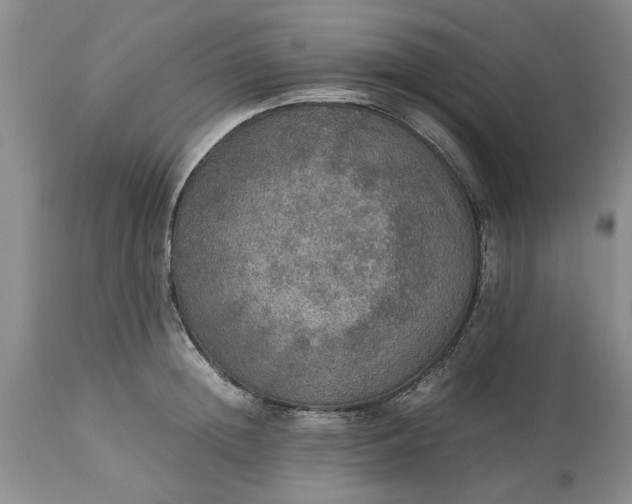 X0000113600852200910021739