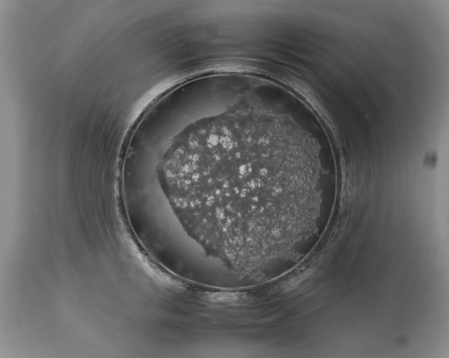 X0000113600853200910021739