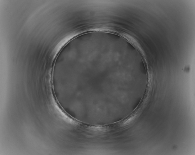 X0000113600855200910021739