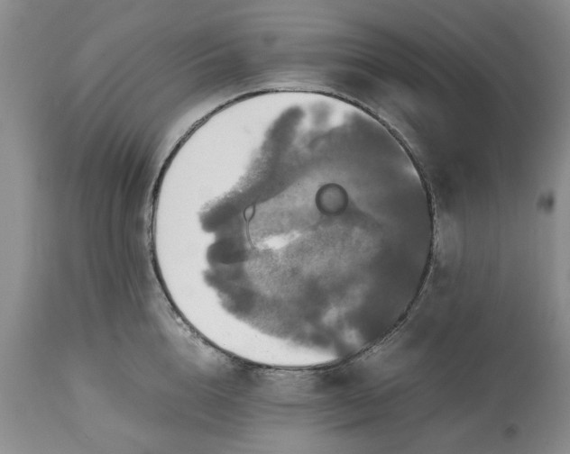 X0000113600856200910021739