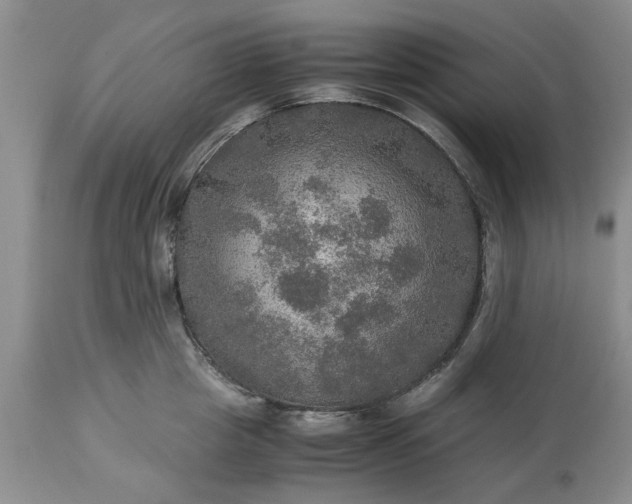 X0000113600857200910021739