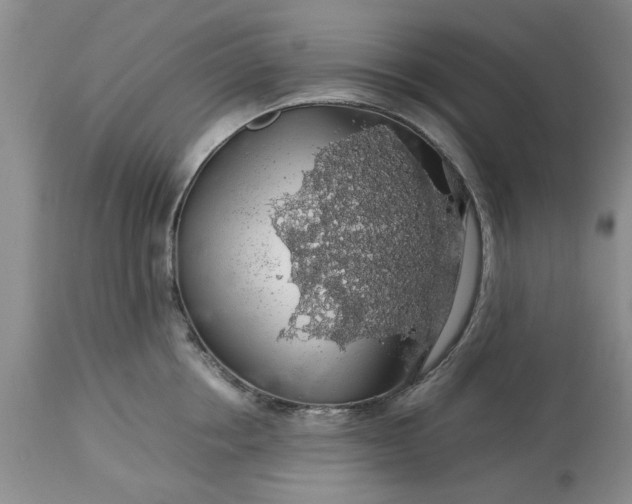 X0000113600858200910021739