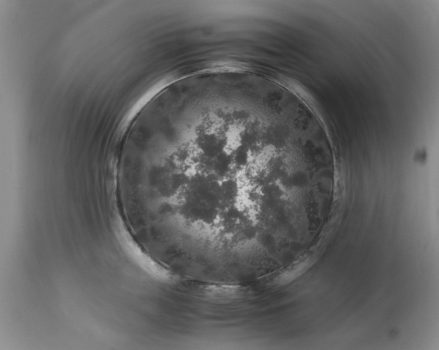 X0000113600859200910021739