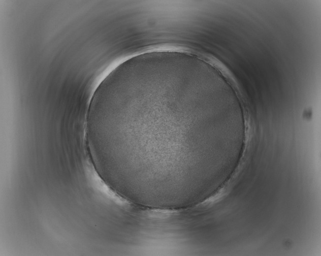 X0000113600860200910021739