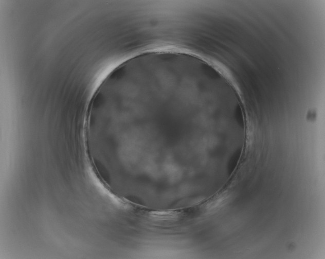 X0000113600863200910021739