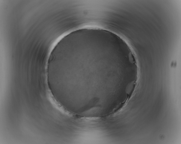 X0000113600864200910021739