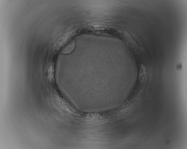 X0000113600866200910021738