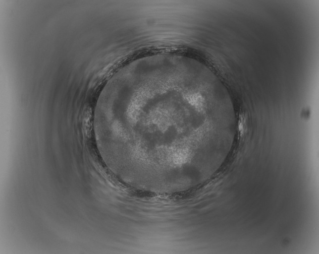 X0000113600867200910021738