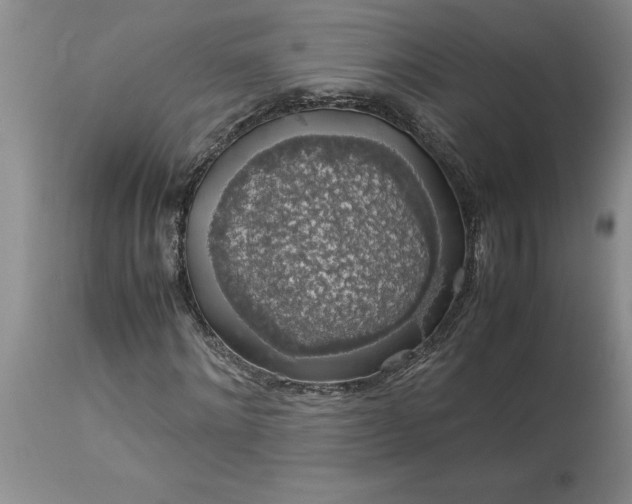 X0000113600868200910021738