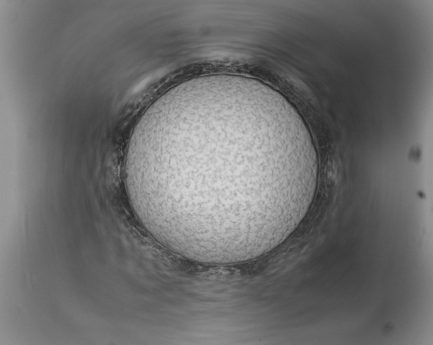 X0000113600869200910021738