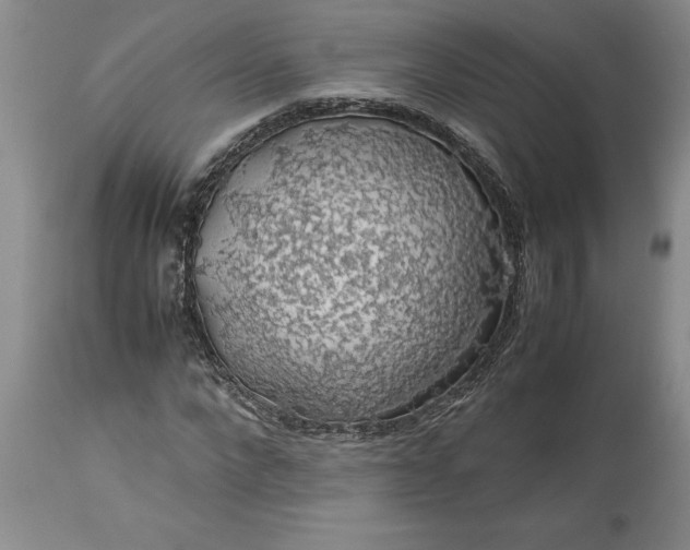 X0000113600872200910021738